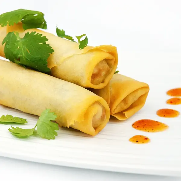 Special Spring Roll — crispy golden wrapper with fresh vegetables at Noodle Wok Mississauga